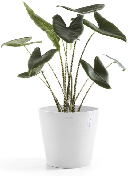 Amsterdam Round Flower Planter, Grey, 10"