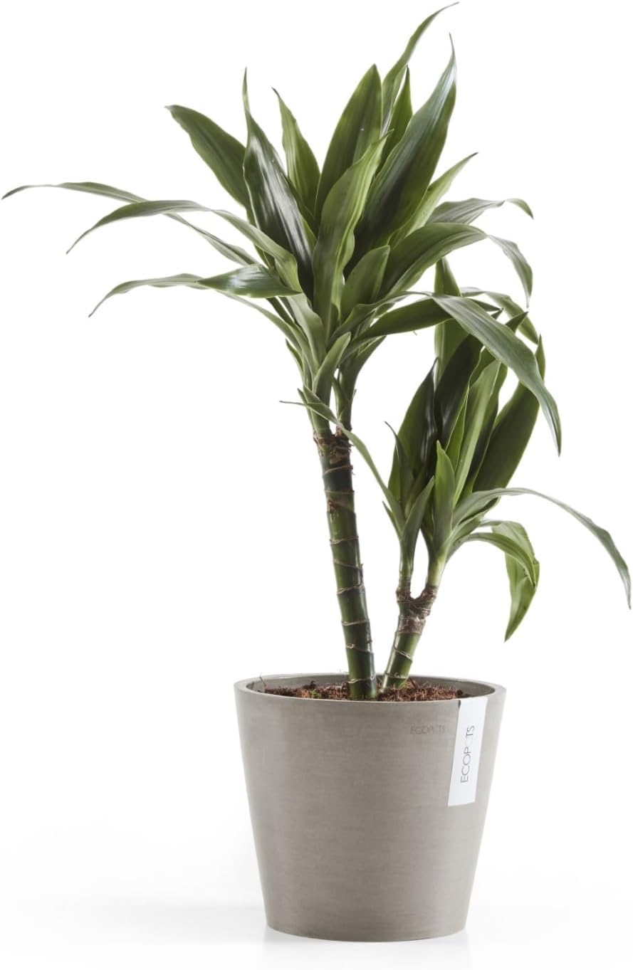 Amsterdam Round Flower Planter, Grey, 10"