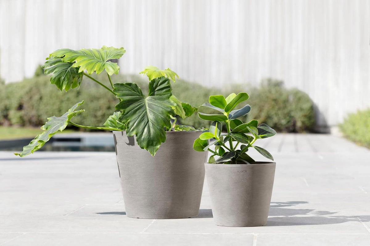 Amsterdam Round Flower Planter, Grey, 10"