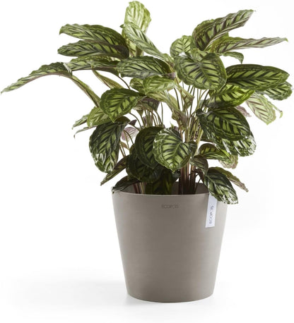 Amsterdam Round Flower Planter, Grey, 10"