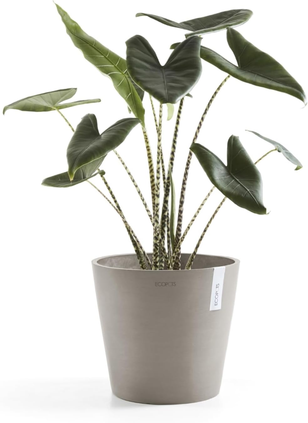 Amsterdam Round Flower Planter, Grey, 10"