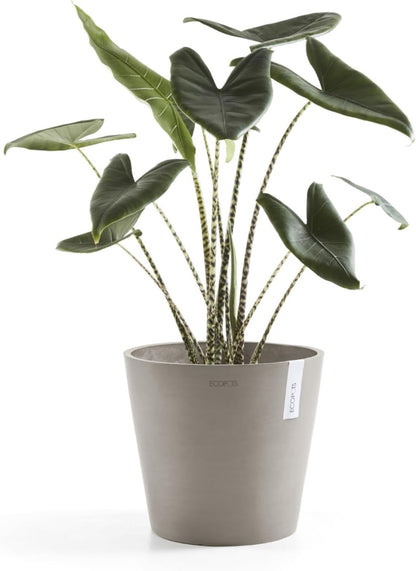 Amsterdam Round Flower Planter, Grey, 10"