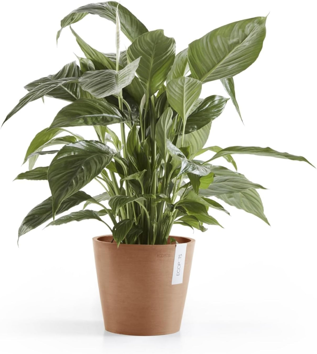 Amsterdam Round Flower Planter, Grey, 10"