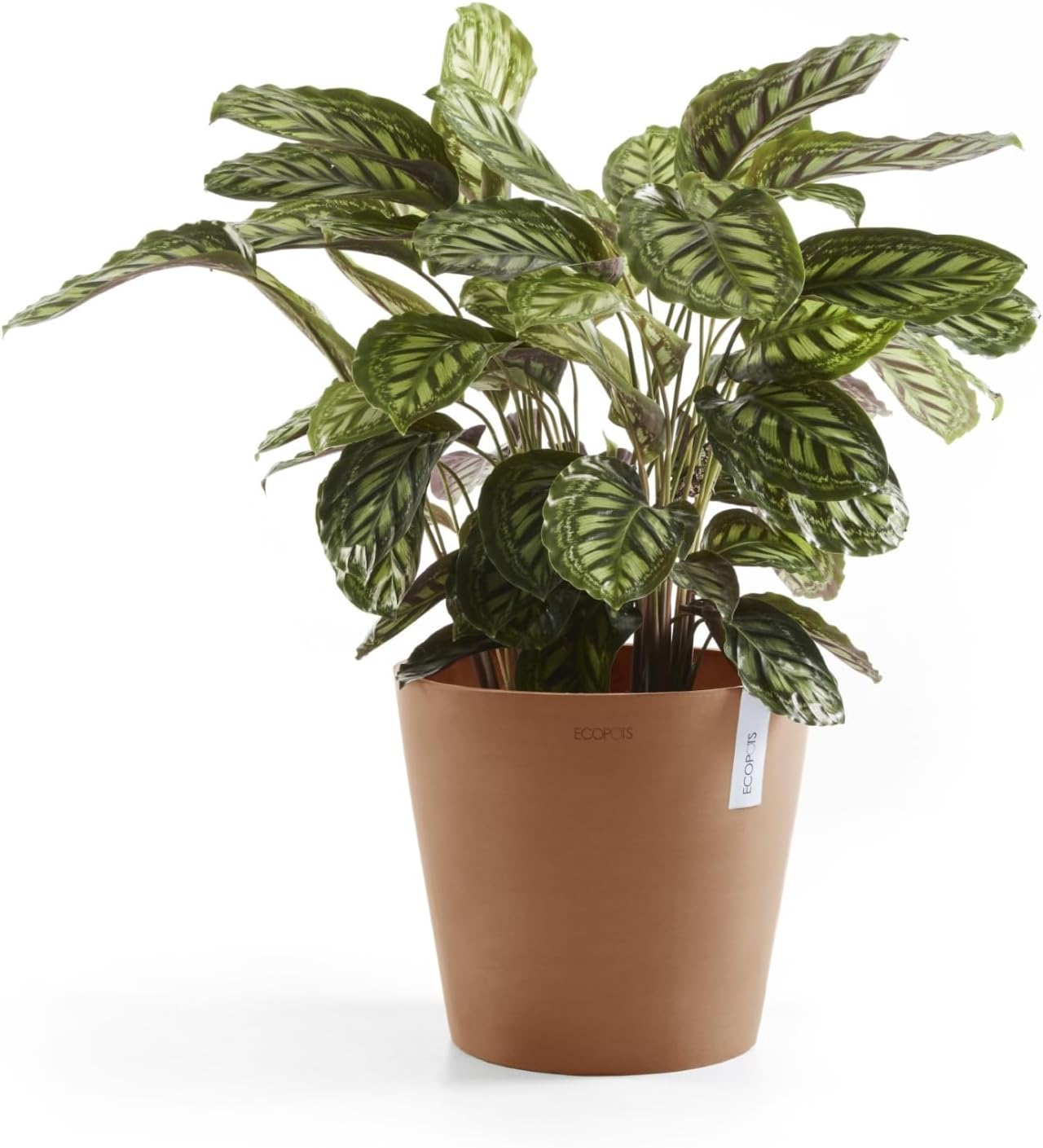 Amsterdam Round Flower Planter, Grey, 10"