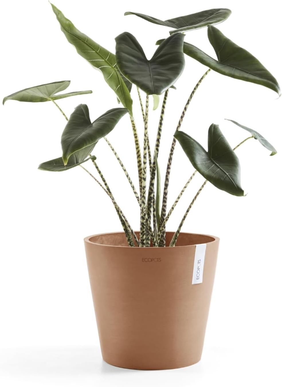 Amsterdam Round Flower Planter, Grey, 10"
