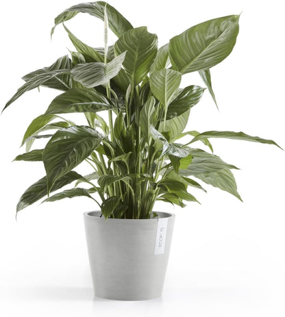 Amsterdam Round Flower Planter, Grey, 10"