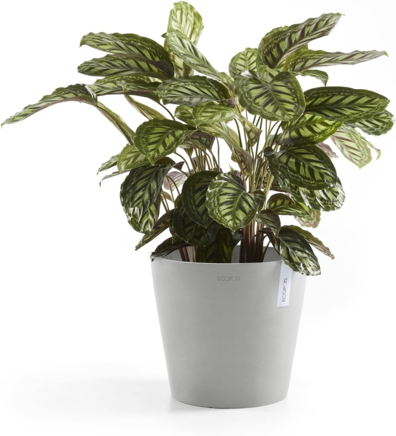 Amsterdam Round Flower Planter, Grey, 10"