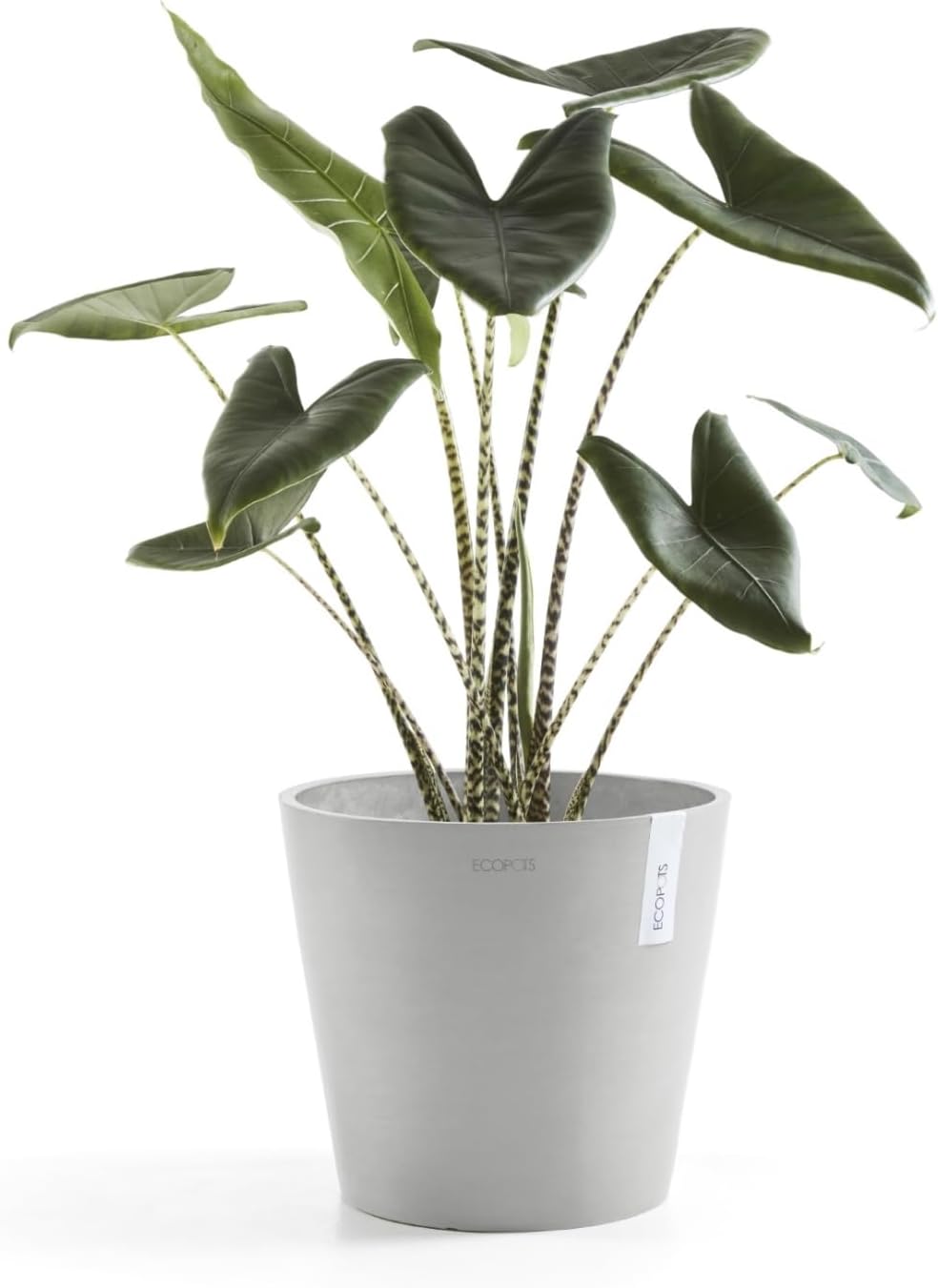 Amsterdam Round Flower Planter, Grey, 10"