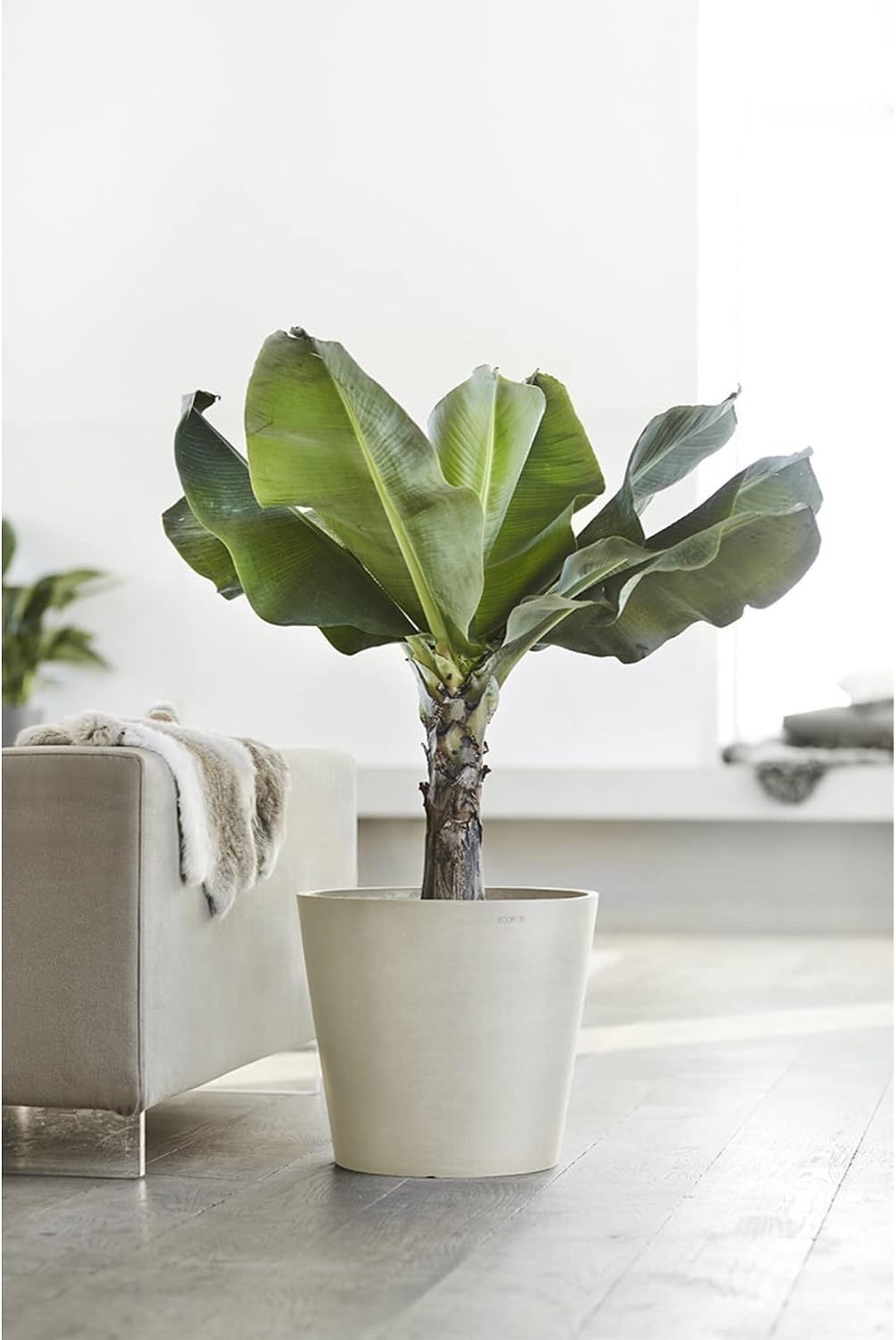 Amsterdam Round Flower Planter, Grey, 10"