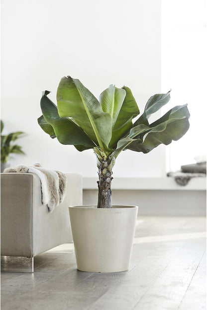 Amsterdam Round Flower Planter, Grey, 10"