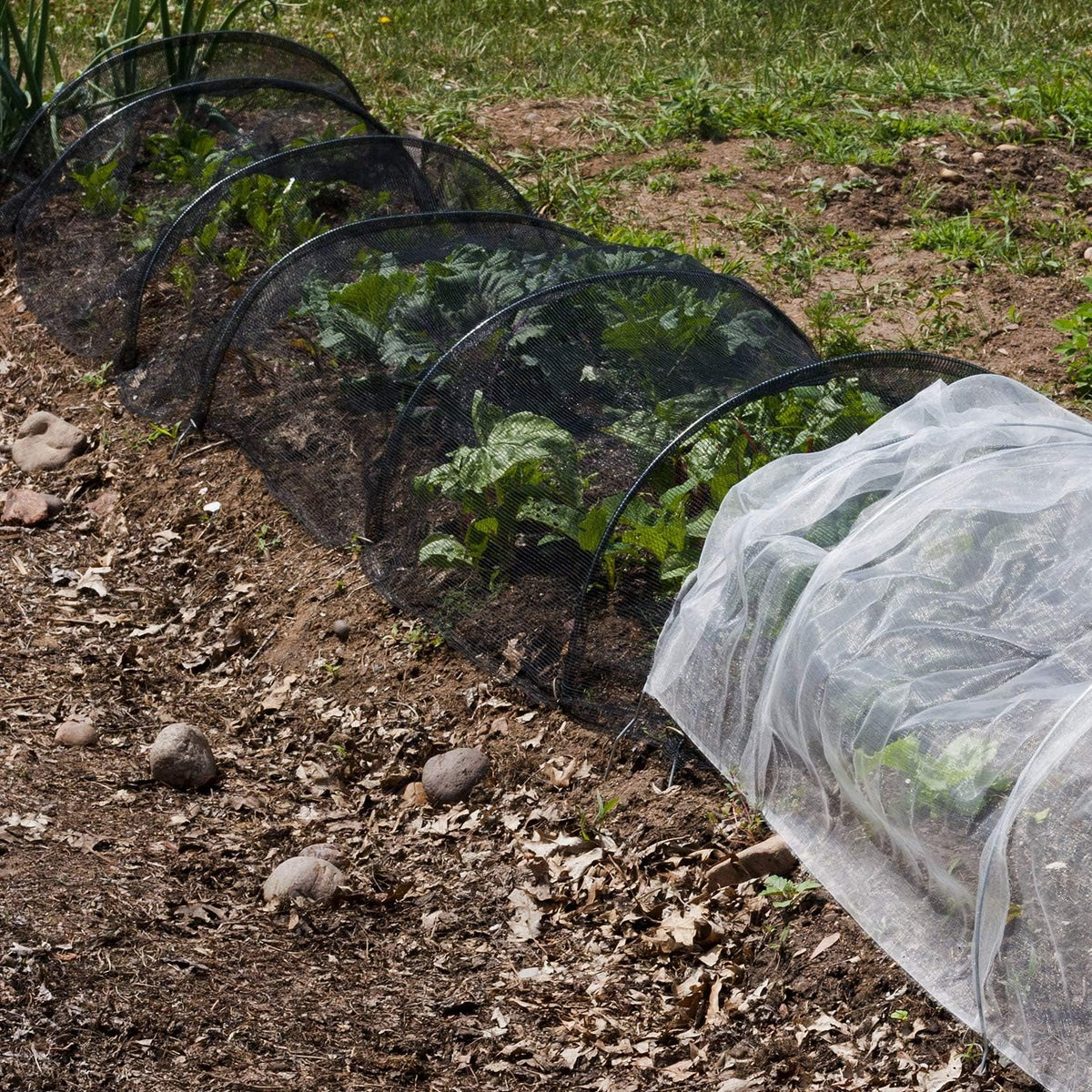 10 x 13ft Mosquito Netting Black Garden Insect Bug Mesh for Plant