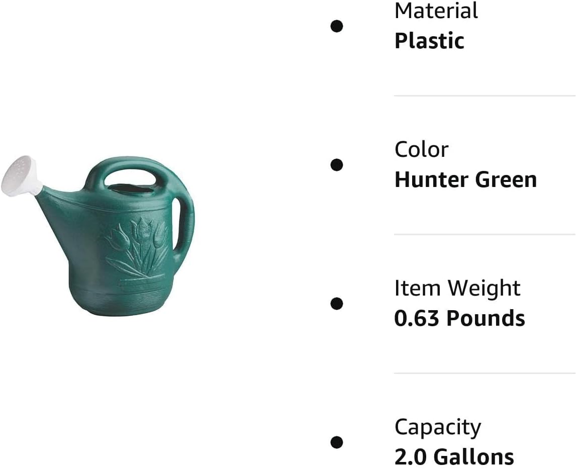 Root & Vessel 30301 Watering Can, 2-Gallon, Hunter Green