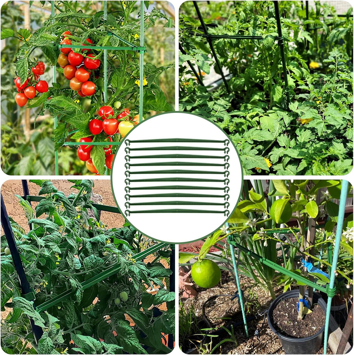 100 Pcs Plant Stake Arms for Tomato Cage, 11.8” Expandable Plant Supports Trellis Connector with 2 Buckles for 11mm Diameter Plant Stake, for Climbing Plants, Tomato, Vegetable, Indoor&Outdoor