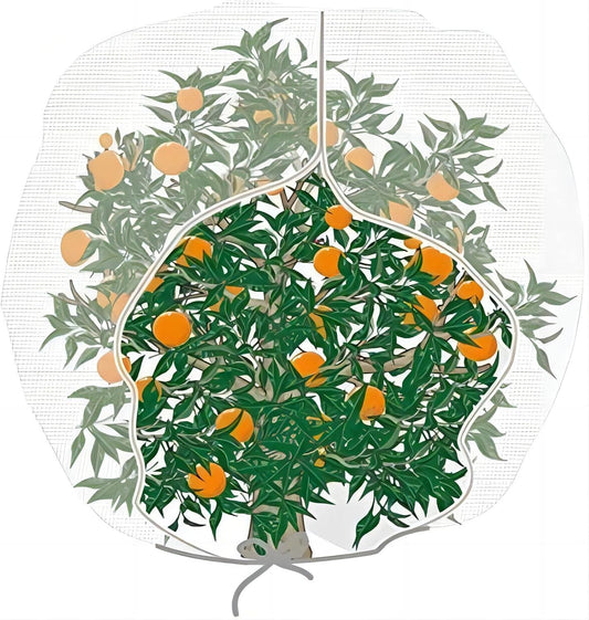 Bird Netting 72" Hx72 W Garden Netting Insect Pest Barrier,Plant Cover Fruit Tree Netting Mesh Protection Bag with Zipper,White