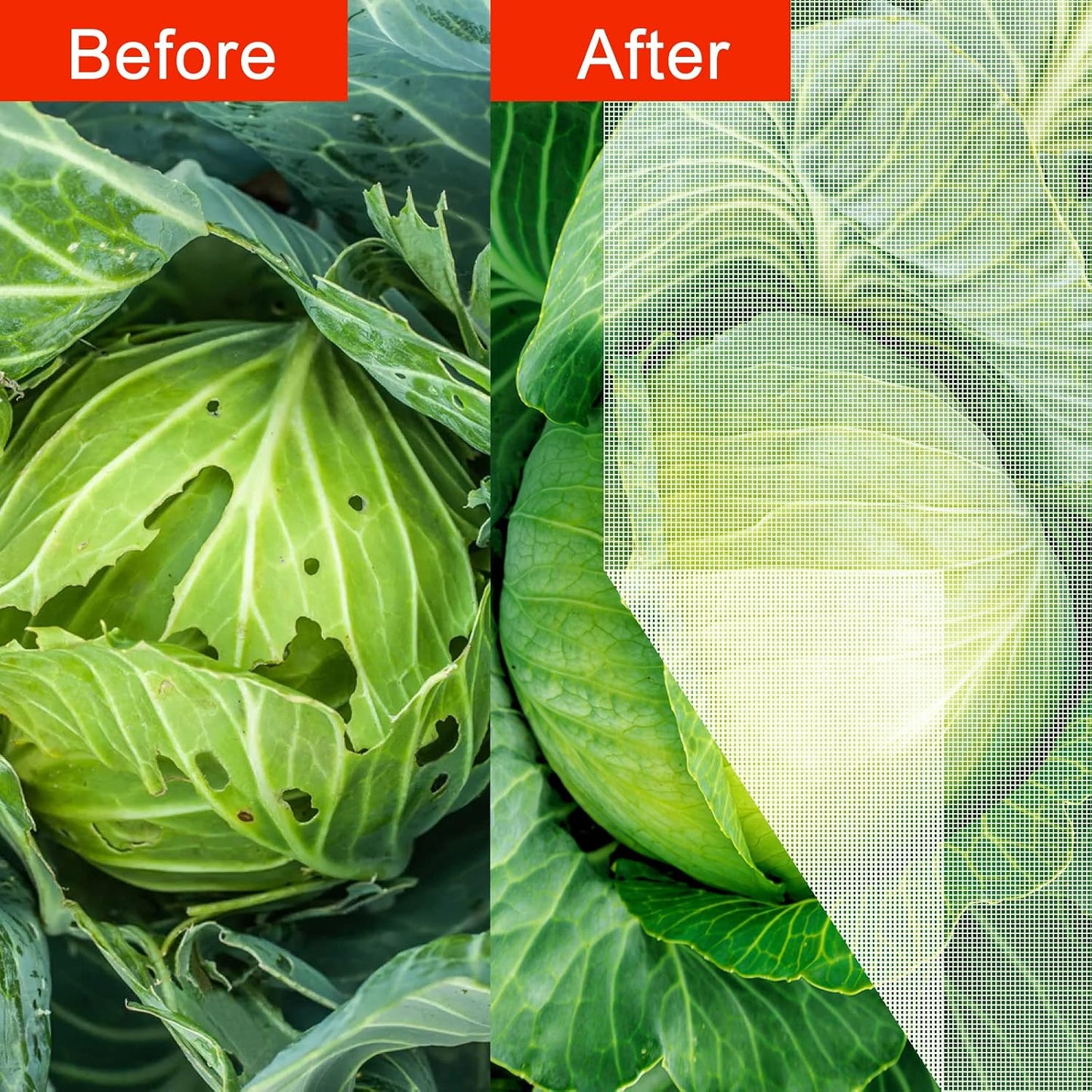 Bird Netting 72" Hx72 W Garden Netting Insect Pest Barrier,Plant Cover Fruit Tree Netting Mesh Protection Bag with Zipper,White