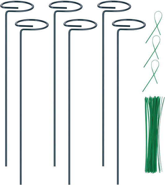 6PCS Plant Support Stakes, 16 Inch Plant Stakes with 50 PCS Twist Ties, Garden Stake for Indoor Plants Amaryllis, Rose, Tomatoes, Lily, Peony, Orchid