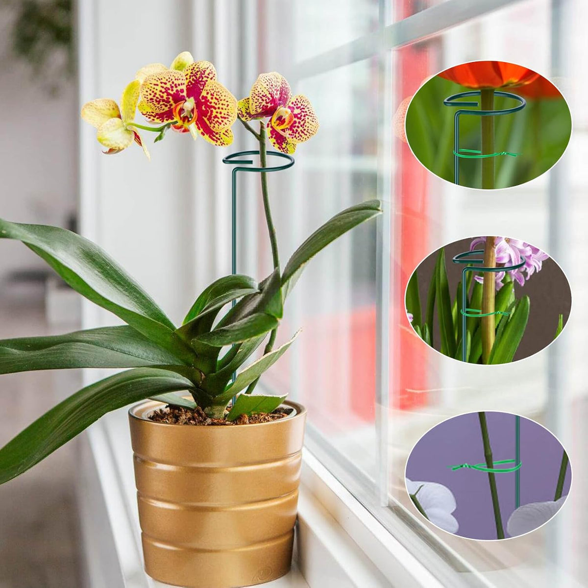 6PCS Plant Support Stakes, 16 Inch Plant Stakes with 50 PCS Twist Ties, Garden Stake for Indoor Plants Amaryllis, Rose, Tomatoes, Lily, Peony, Orchid