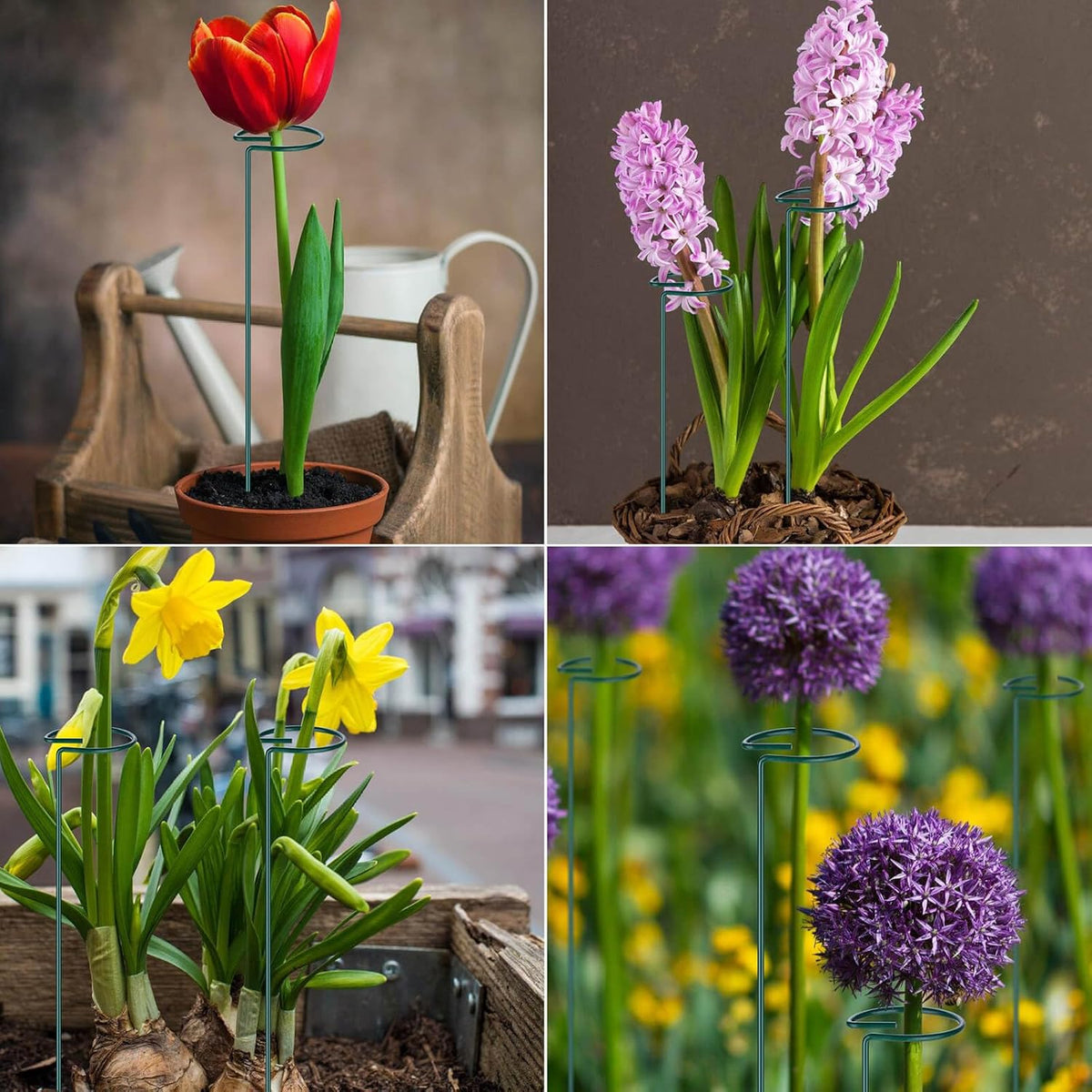 6PCS Plant Support Stakes, 16 Inch Plant Stakes with 50 PCS Twist Ties, Garden Stake for Indoor Plants Amaryllis, Rose, Tomatoes, Lily, Peony, Orchid