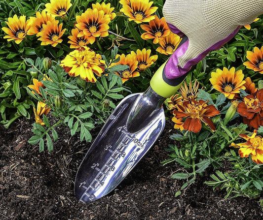 Transplanter Trowel - Bend Proof and Rust Proof Aluminum - Most Comfortable Transplanter with Ergo Handle - Engraved Depth Guide