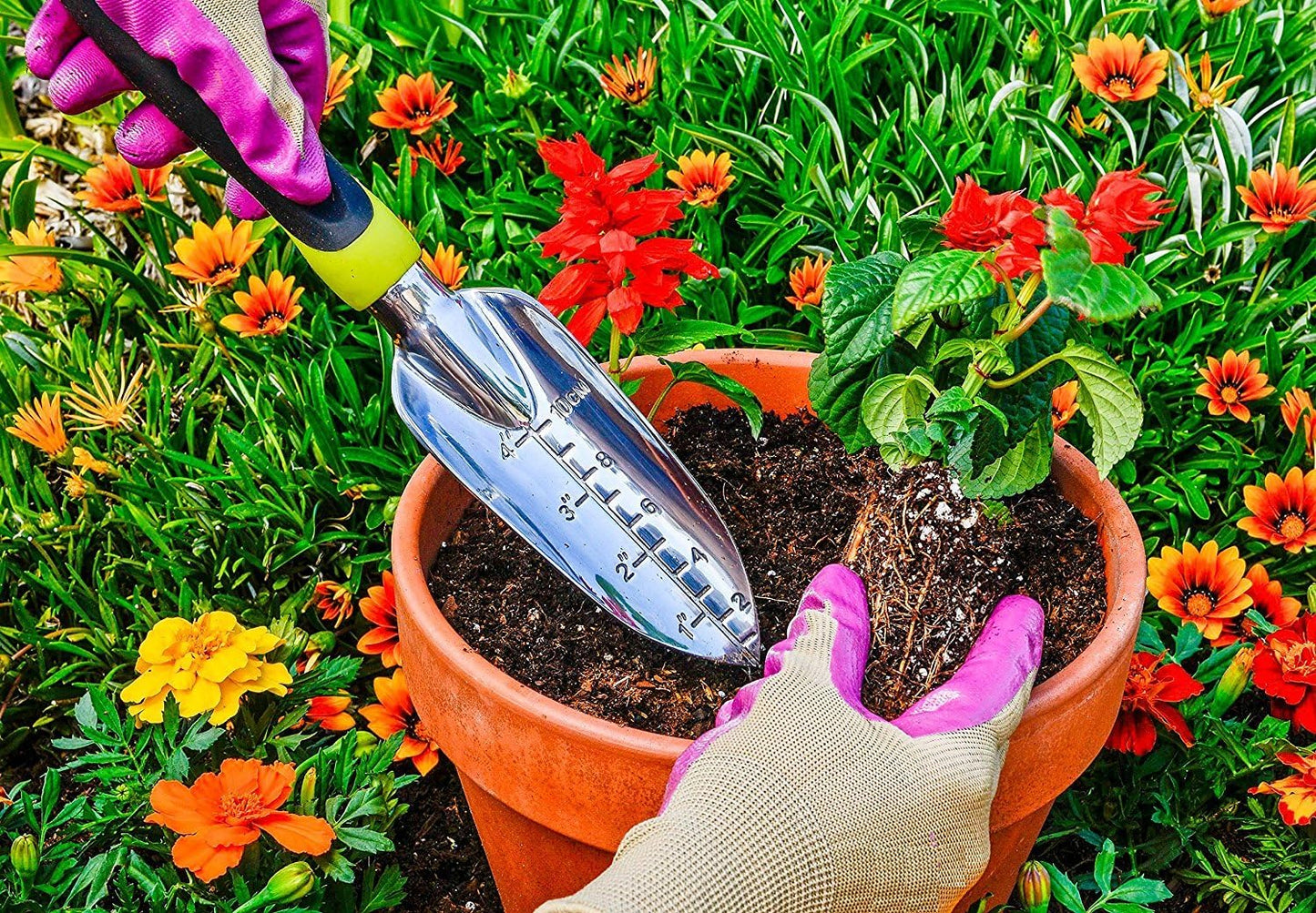 Transplanter Trowel - Bend Proof and Rust Proof Aluminum - Most Comfortable Transplanter with Ergo Handle - Engraved Depth Guide