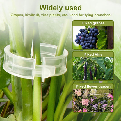 50 PCS Secured Plastic Plant Clip, Plant Support Clips, Garden Clips for Climbing Plants, Plastic Trellis Clips Plant Support Clips Tomato Grape Vine Vegetables Plant Fixing Clips (50, White)