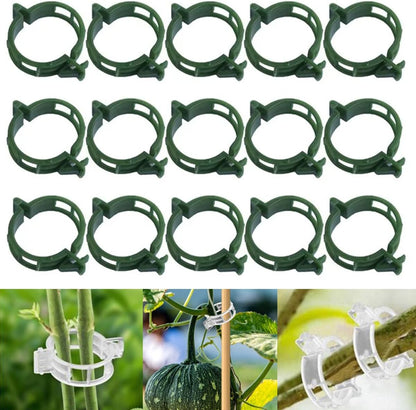 50 PCS Secured Plastic Plant Clip, Plant Support Clips, Garden Clips for Climbing Plants, Plastic Trellis Clips Plant Support Clips Tomato Grape Vine Vegetables Plant Fixing Clips (50, White)