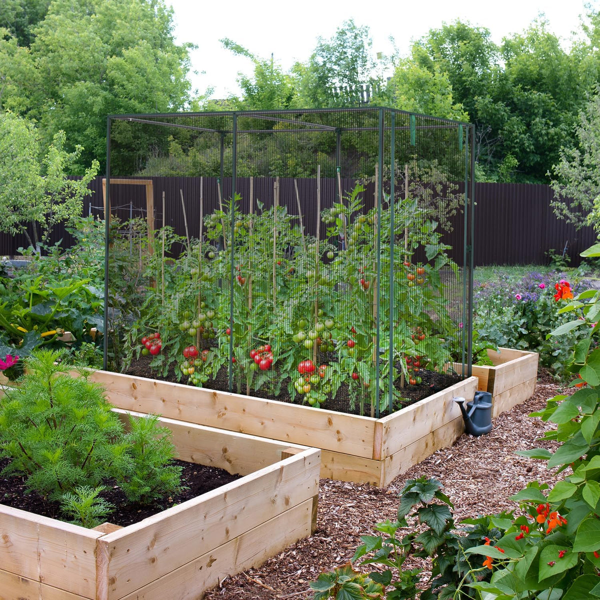 Crop Cages for Garden Plant: 6x3x5 Ft Tent Cage, Plant Netting Cover with Zipper, Garden Bed Cover, Plant Cover from Animal Wind-Resistant Garden Cage for Fruit Vegetable Flower