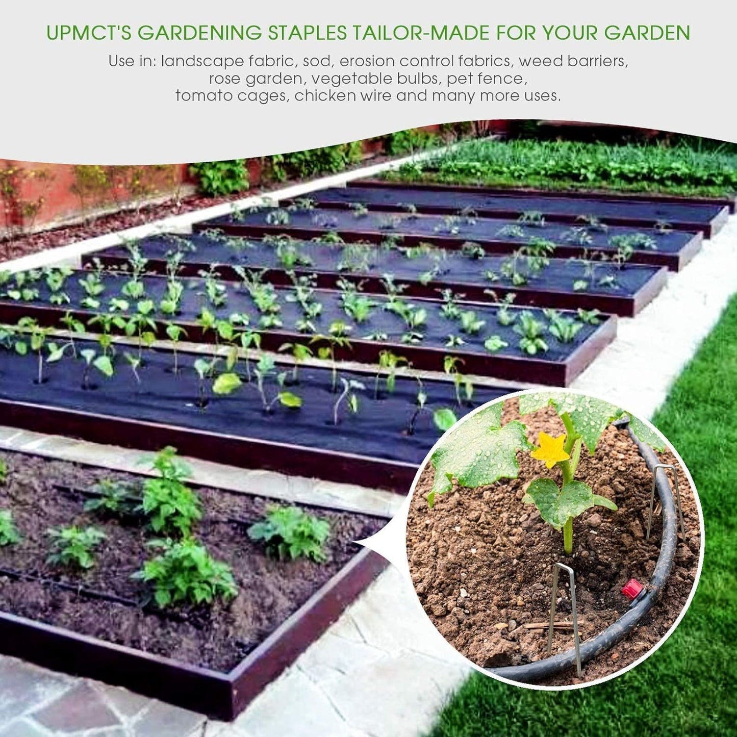 12 Inch Galvanized Garden Landscape Staples Stakes, 25 50 100 PCS Anti-Rust Garden Staples Tent Ground Stakes U-Shaped Landscape Pins for Secure Lawn Fabric, Decoration (25, 12 Inch)