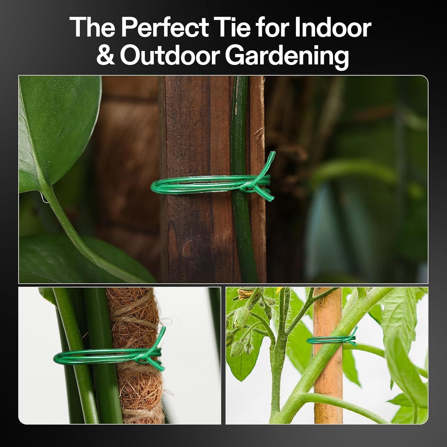 Twist Ties, 164 ft (50m) PE-Coated Green Plant Ties with Cutter, Reusable & Flexible Tomate Ties for Plant Support, Indoor Outdoor Gardening, Cable Management, Home Office Organization