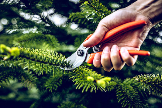 Bypass Pruner Garden Tools 14.104 | Use as Pruners, Hedge Trimmer, Garden Shears, Pruning Shears for Gardening | For cutting roses, twigs, branches, and cut flowers | Made in Germany