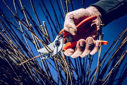 Bypass Pruner Garden Tools 14.104 | Use as Pruners, Hedge Trimmer, Garden Shears, Pruning Shears for Gardening | For cutting roses, twigs, branches, and cut flowers | Made in Germany