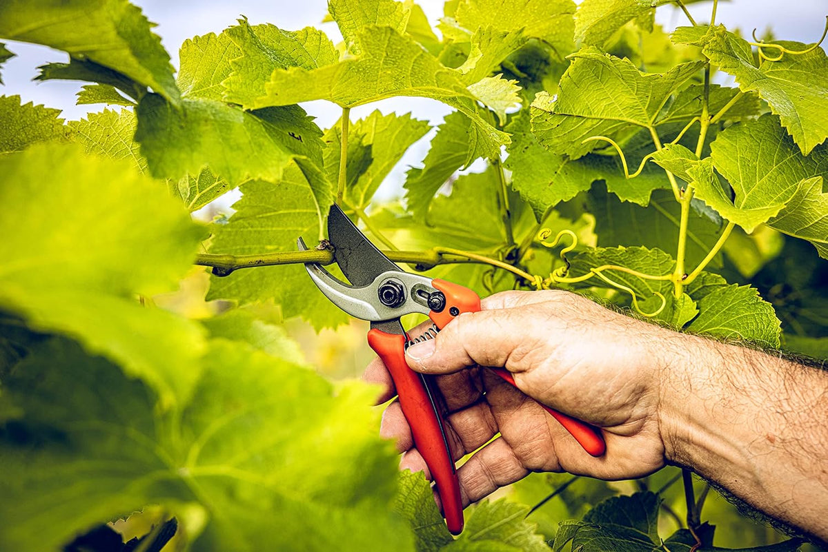 Bypass Pruner Garden Tools 14.104 | Use as Pruners, Hedge Trimmer, Garden Shears, Pruning Shears for Gardening | For cutting roses, twigs, branches, and cut flowers | Made in Germany