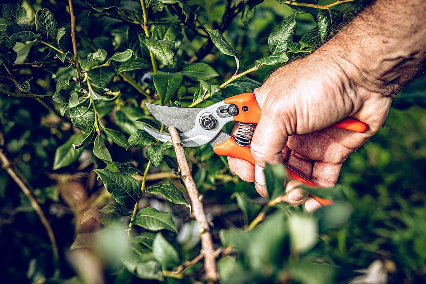 Bypass Pruner Garden Tools 14.104 | Use as Pruners, Hedge Trimmer, Garden Shears, Pruning Shears for Gardening | For cutting roses, twigs, branches, and cut flowers | Made in Germany