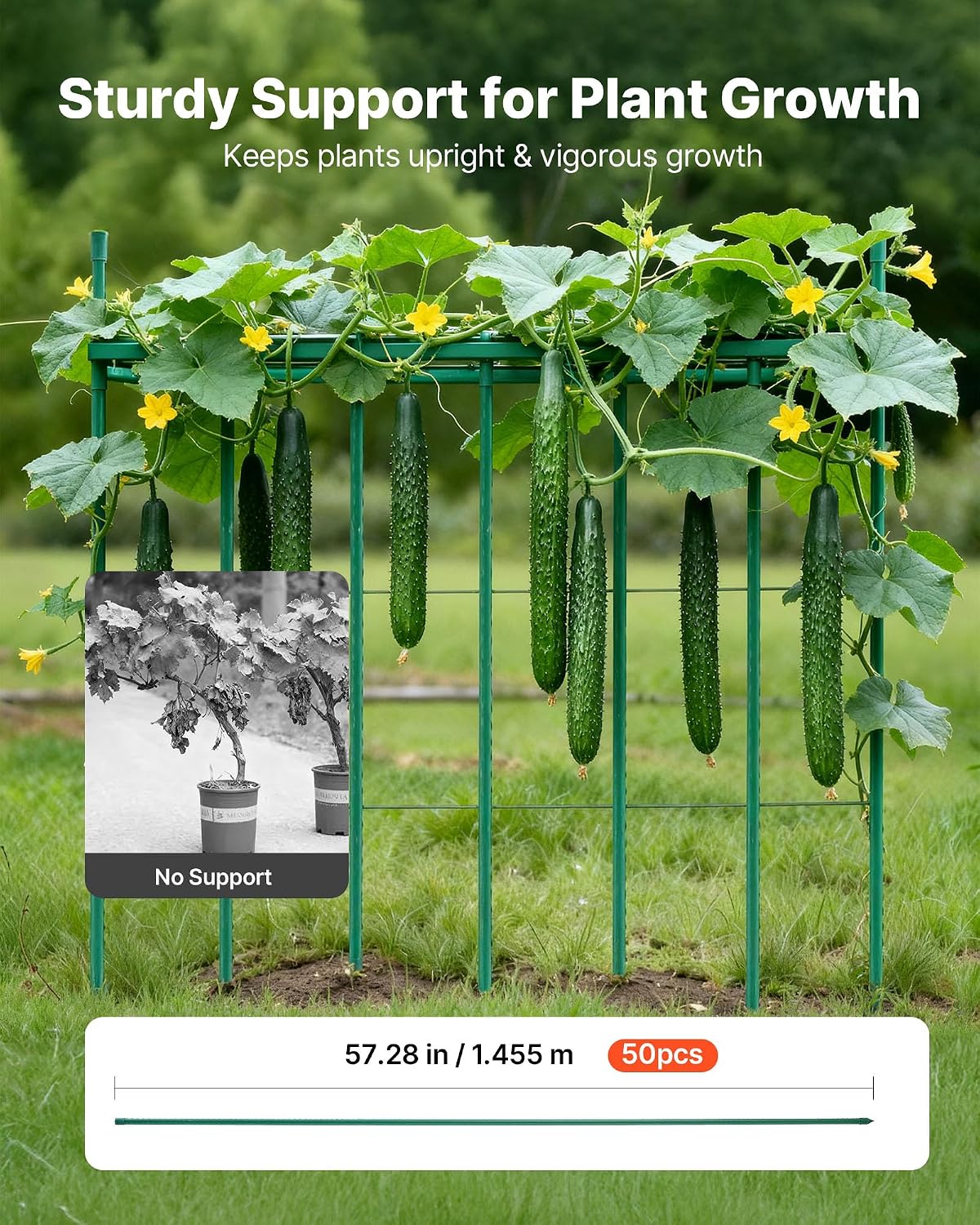 Garden Stakes, 50 Pack, 46.06 inch, Plastic Coated Metal Tomato Stakes, Garden Sticks for Plants Support, with Pointed End and Non-Slip Bumps for Growing Climbing Plants, Outdoor Vegetables