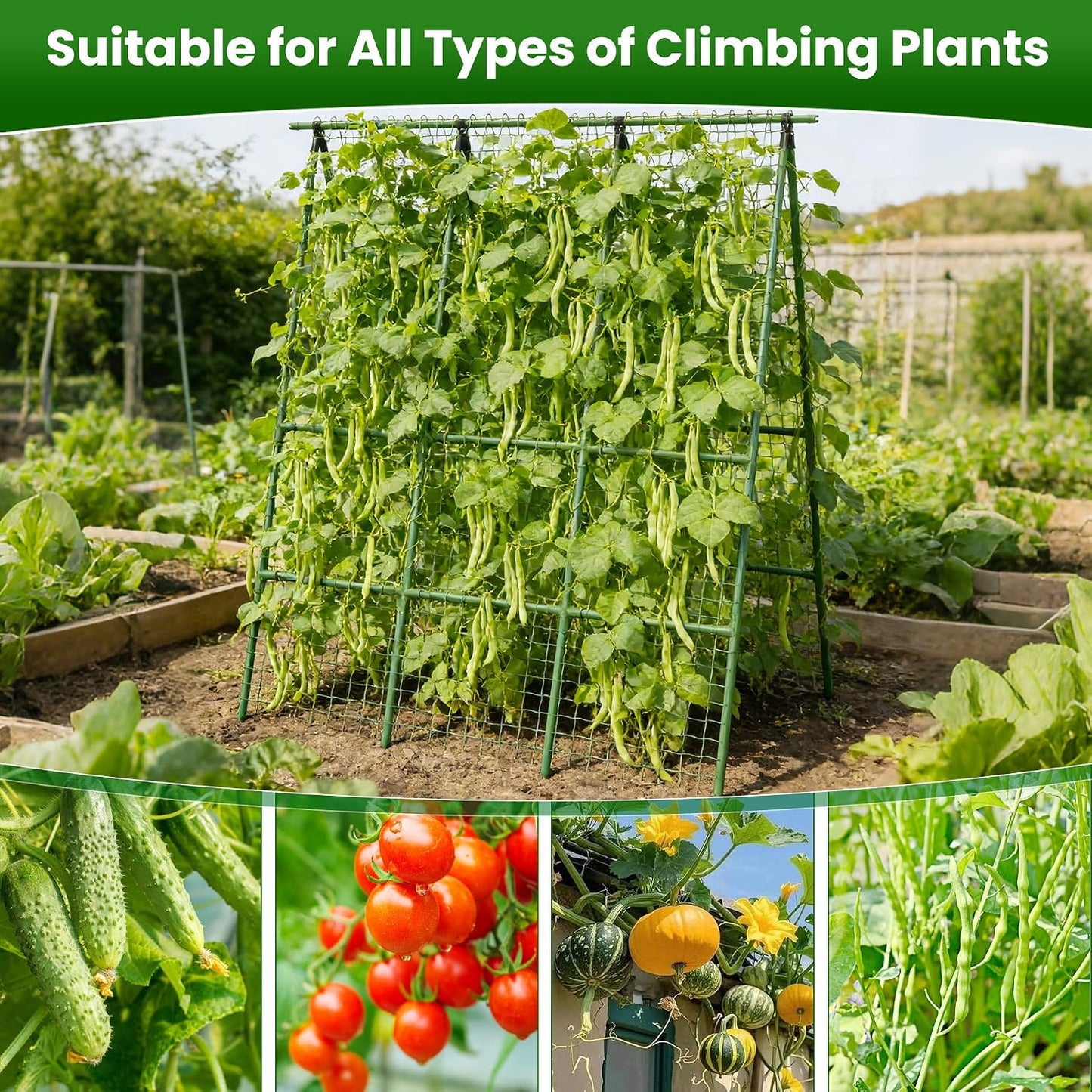 2 Pack Cucumber Trellis 48" L x 48" H, A-Frame Garden Trellis for Climbing Plants Outdoor, Vegetable Trellis for Raised Bed, Support for Squash Pea Zucchini Grape Flowers Tomato