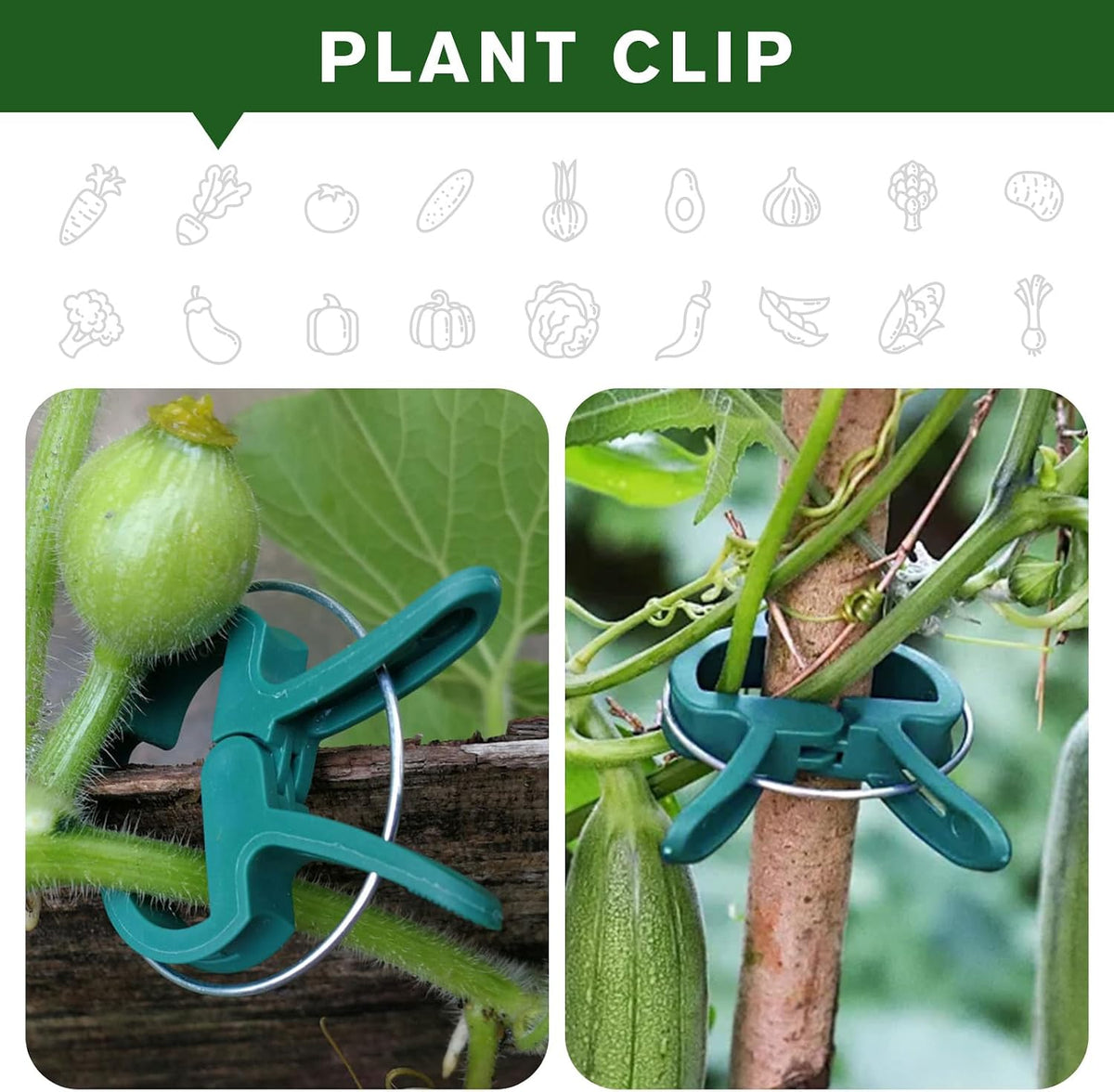 Plant Clips for Climbing Plants, Garden Support for Tomatoes & Vine