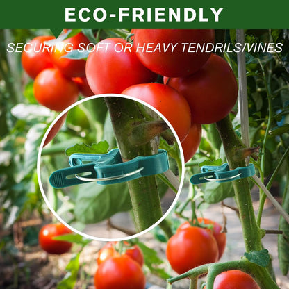 Plant Clips for Climbing Plants, Garden Support for Tomatoes & Vine