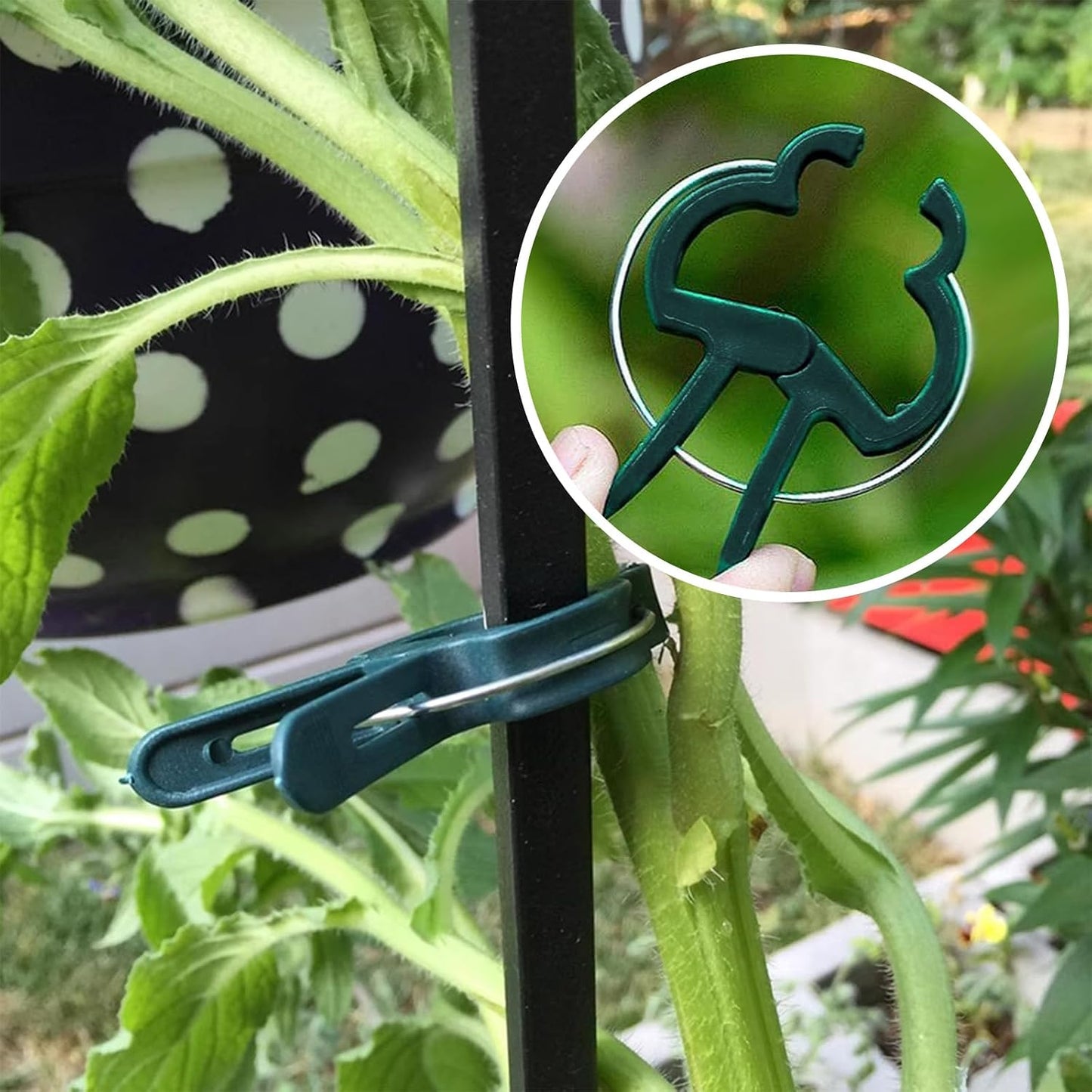 Plant Clips for Climbing Plants, Garden Support for Tomatoes & Vine