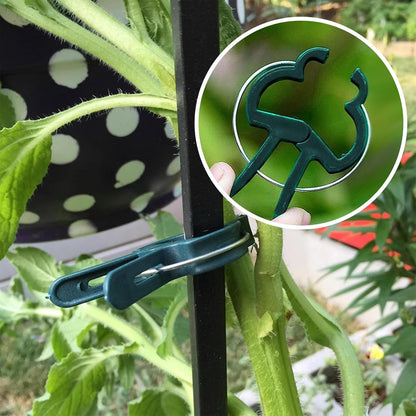 Plant Clips for Climbing Plants, Garden Support for Tomatoes & Vine
