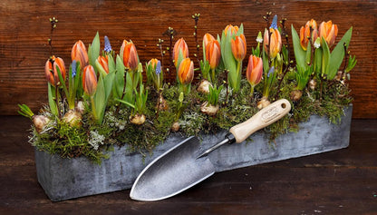 Tierra Garden DeWit Forged Hand Trowel, Garden Tool for Roots and Planting, Standard (31-3000)