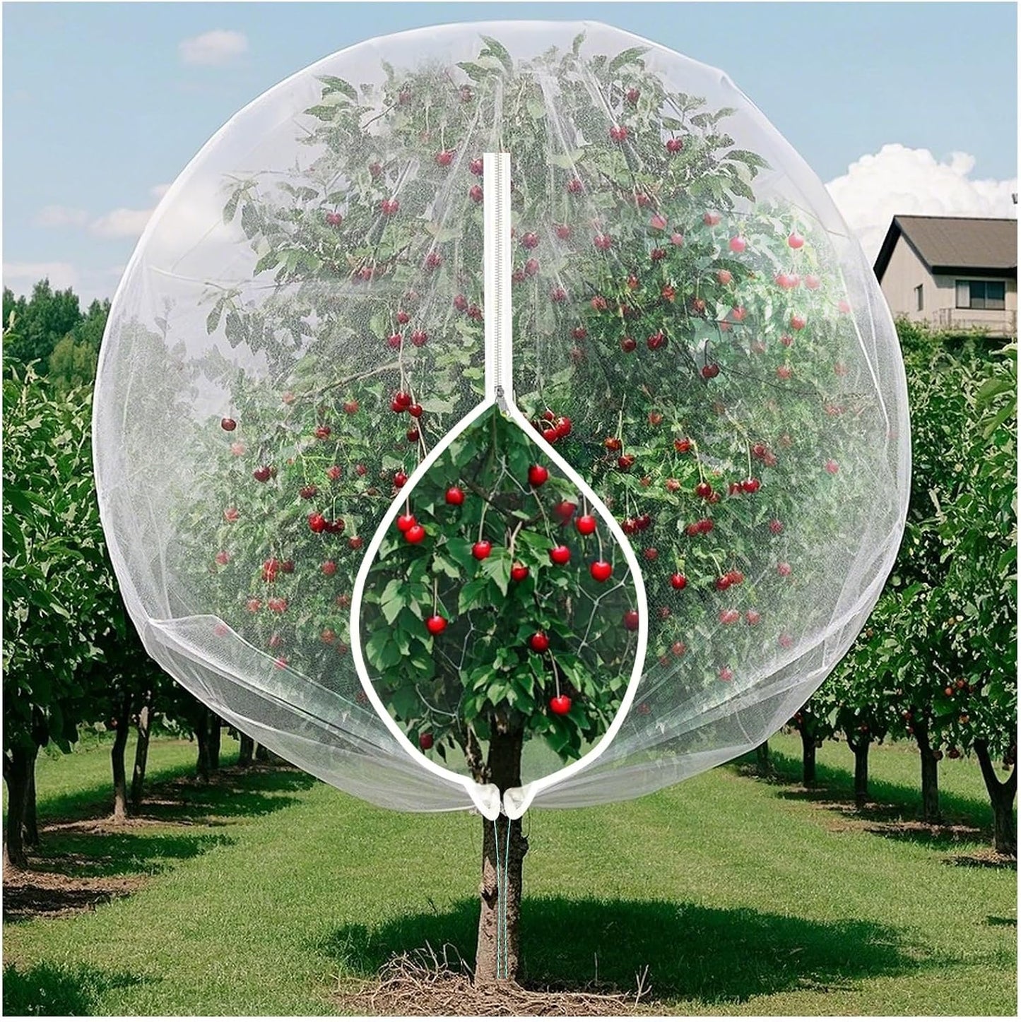 Insect Bird Barrier Mesh, 3.5 x4.6FT Garden Netting Barrier with Drawstring