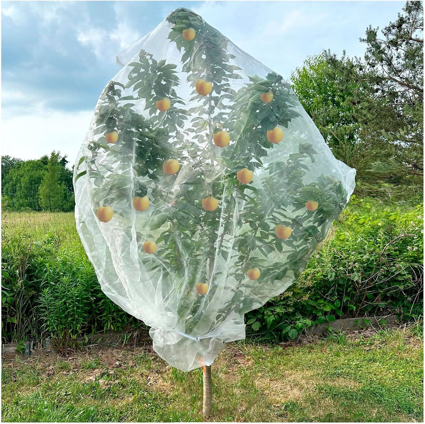 Insect Bird Barrier Mesh, 3.5 x4.6FT Garden Netting Barrier with Drawstring