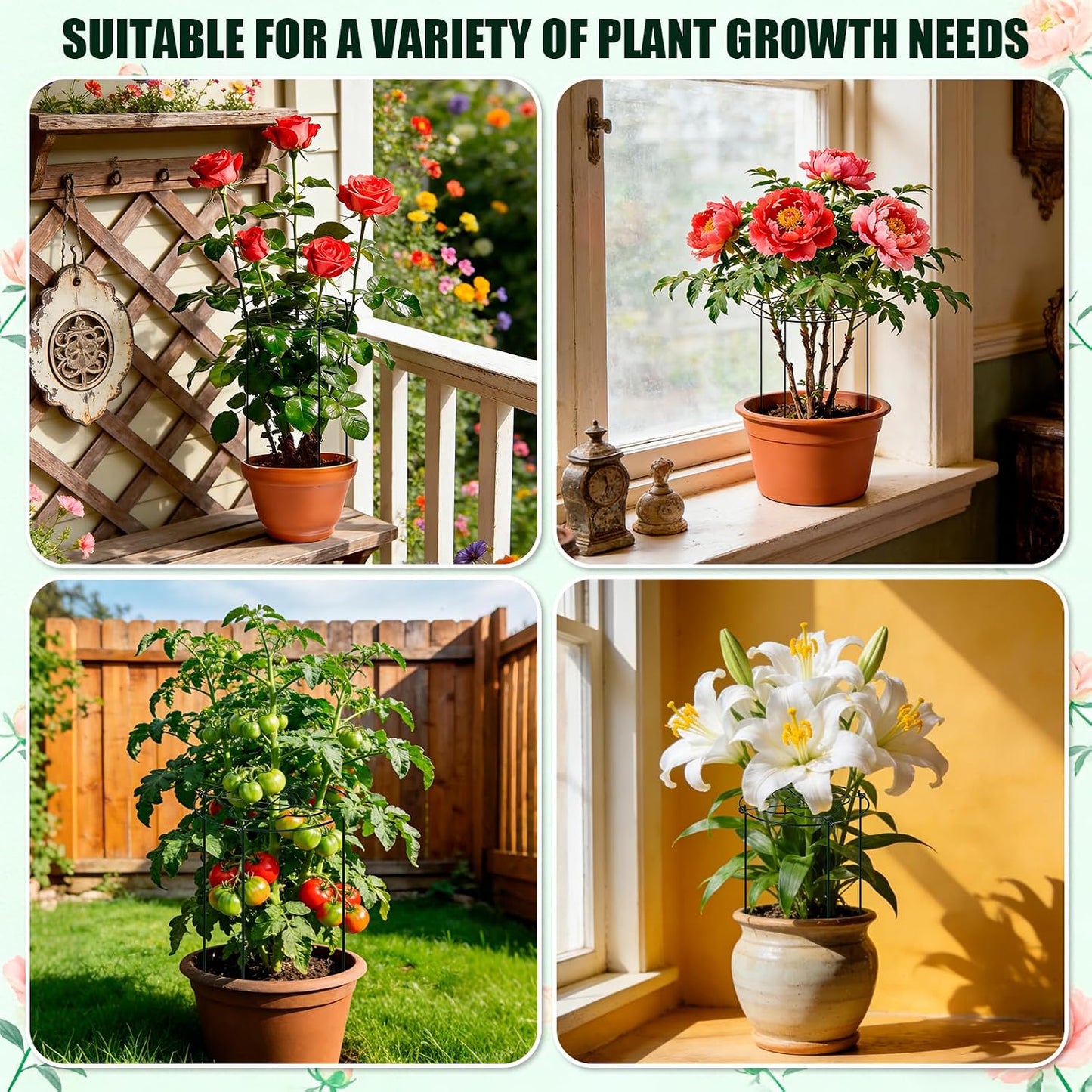 4 Pcs Peony Cages and Supports, 13"x31.5" Plant Supports for Outdoor Plants
