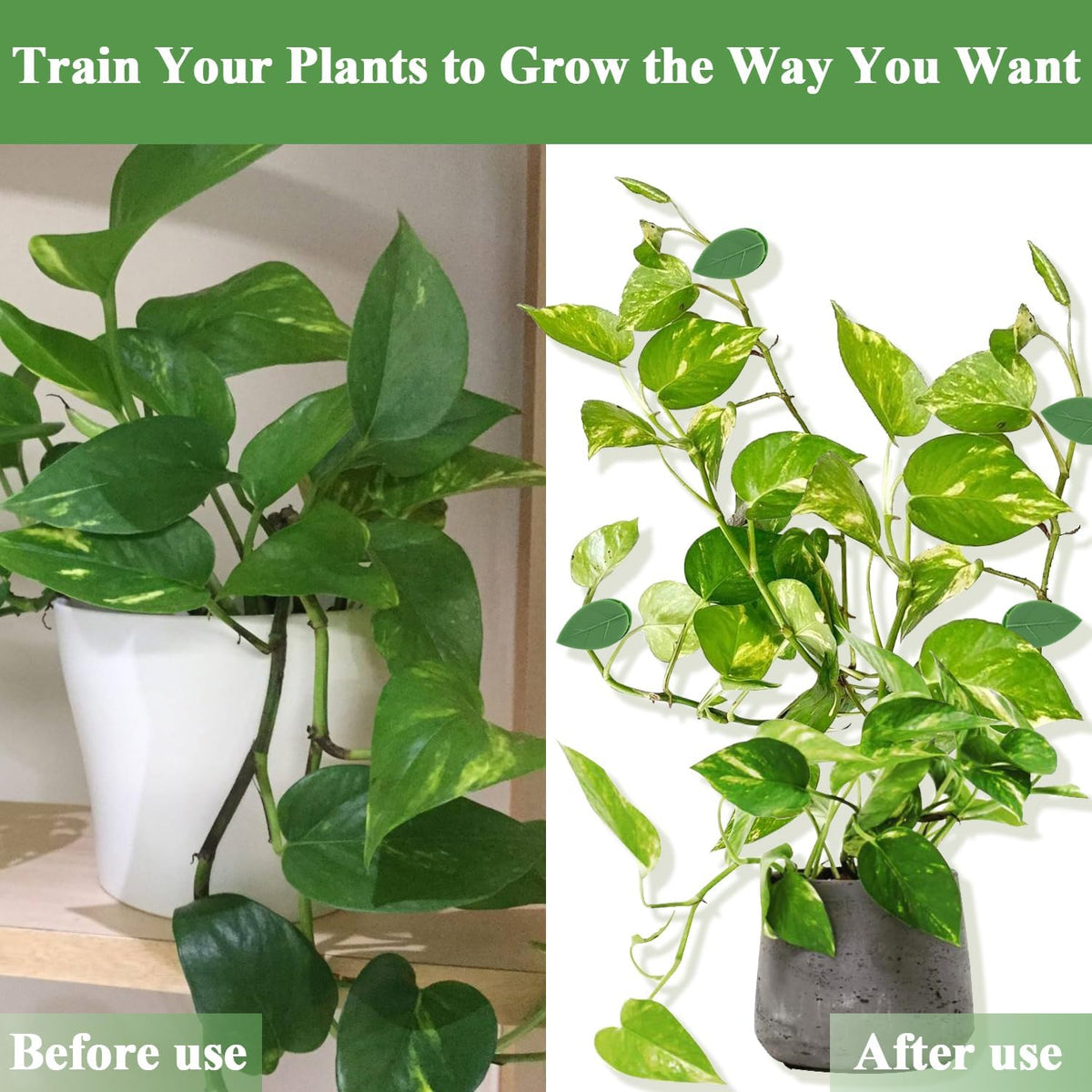 60PCS Plant Wall Clips with Self Adhesive Stickers - Leaf Shaped Vine Clips for Climbing Plants, Invisible Plant Support for Pothos Ivy Creeper, Indoor Outdoor
