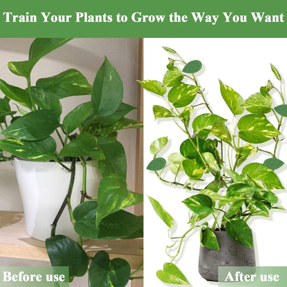 60PCS Plant Wall Clips with Self Adhesive Stickers - Leaf Shaped Vine Clips for Climbing Plants, Invisible Plant Support for Pothos Ivy Creeper, Indoor Outdoor