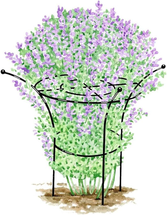 Essex Plant Support, X-Large