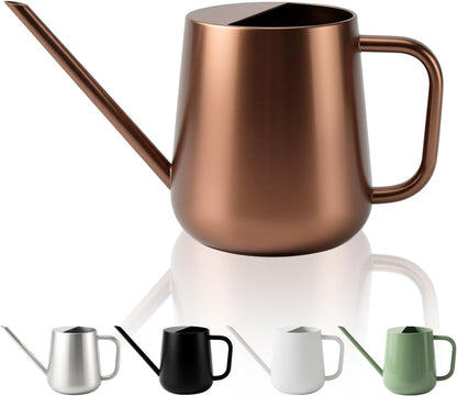 Watering Can for Indoor & Outdoor Plants, 35 oz/1000ml Watering Can with Metal Handle, Stainless Steel Garden Long Spout Watering Pot for Indoor House Plants Bonsai Flower Decorative