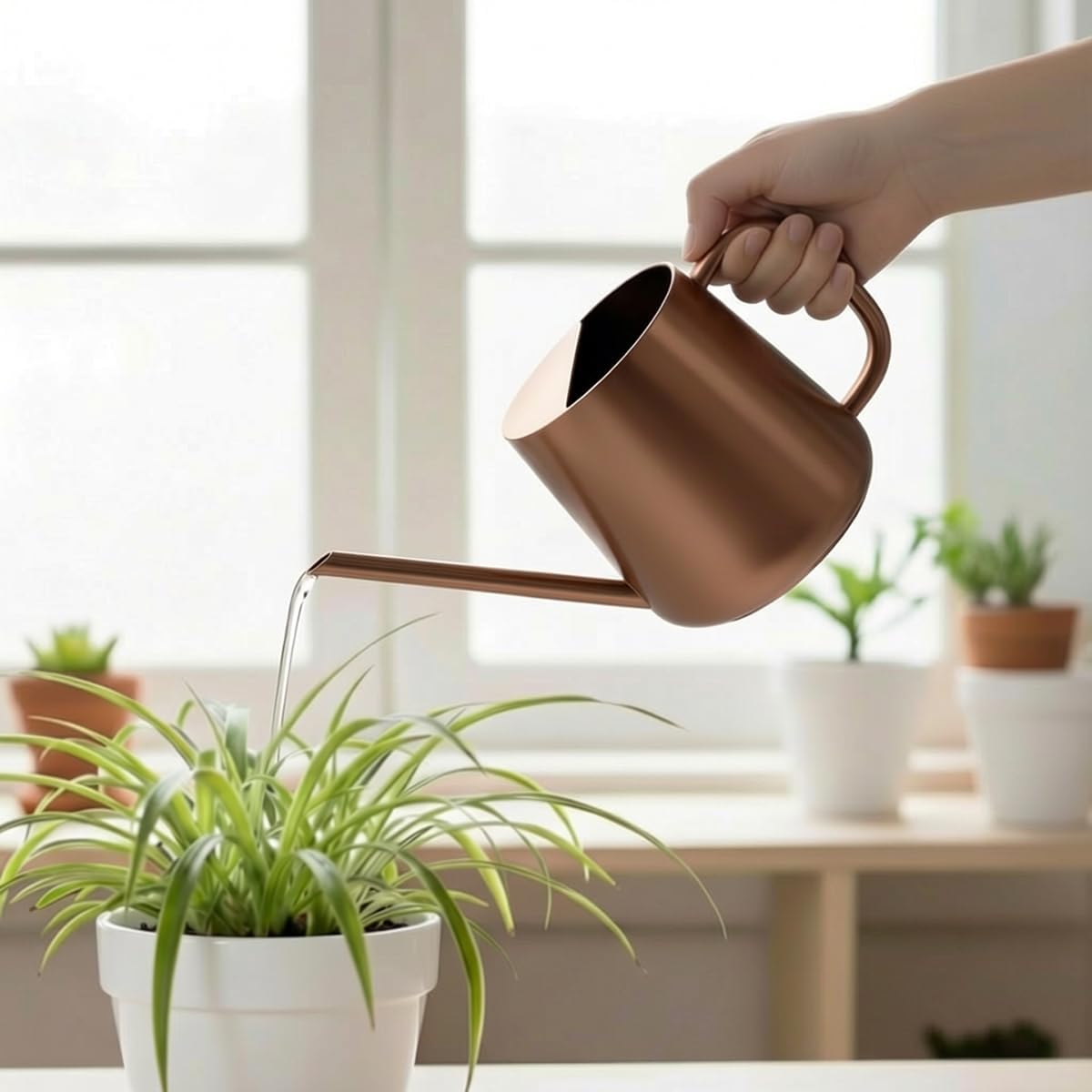 Watering Can for Indoor & Outdoor Plants, 35 oz/1000ml Watering Can with Metal Handle, Stainless Steel Garden Long Spout Watering Pot for Indoor House Plants Bonsai Flower Decorative