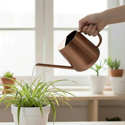 Watering Can for Indoor & Outdoor Plants, 35 oz/1000ml Watering Can with Metal Handle, Stainless Steel Garden Long Spout Watering Pot for Indoor House Plants Bonsai Flower Decorative