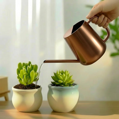 Watering Can for Indoor & Outdoor Plants, 35 oz/1000ml Watering Can with Metal Handle, Stainless Steel Garden Long Spout Watering Pot for Indoor House Plants Bonsai Flower Decorative